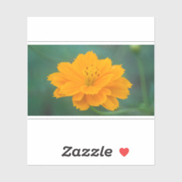 Schwefelkosmos 02 aufkleber