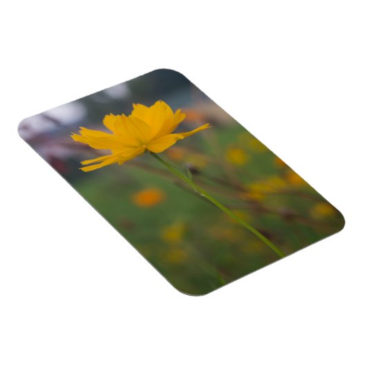 Schwefelkosmos 02 magnet (Rechte Seite)