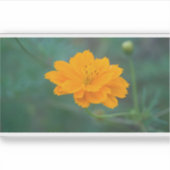 Schwefelkosmos 03 aufkleber (Vorderseite)