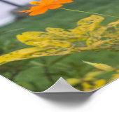 Schwefelkosmos 03 poster (Ecke)