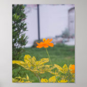 Schwefelkosmos 03 poster (Vorne)