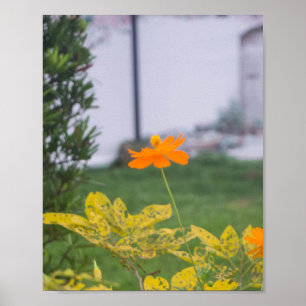 Schwefelkosmos 03 poster