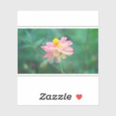 Schwefelkosmos 04 aufkleber (Blatt)