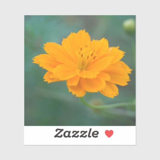 Schwefelkosmos 04 aufkleber (Blatt)