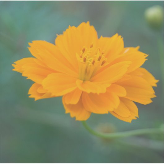 Schwefelkosmos 04 aufkleber (Vorderseite)