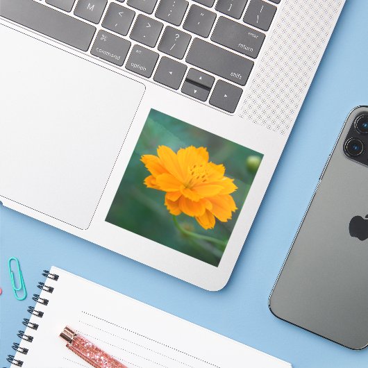 Schwefelkosmos 04 aufkleber (Laptop mit iPhone)