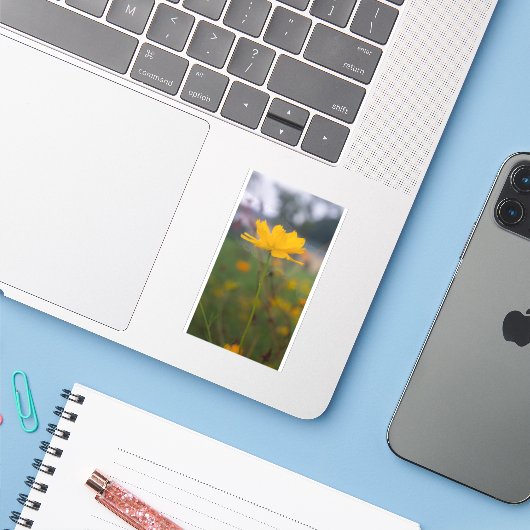 Schwefelkosmos 05 aufkleber (Laptop mit iPhone)