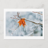 schweigende Entscheidung Postkarte (Vorderseite)