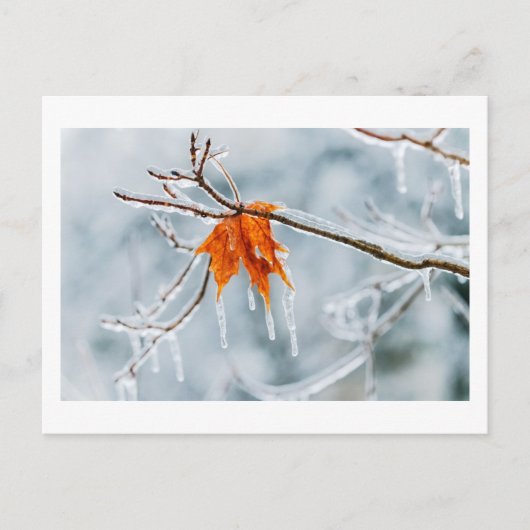 schweigende Entscheidung Postkarte (Vorderseite)