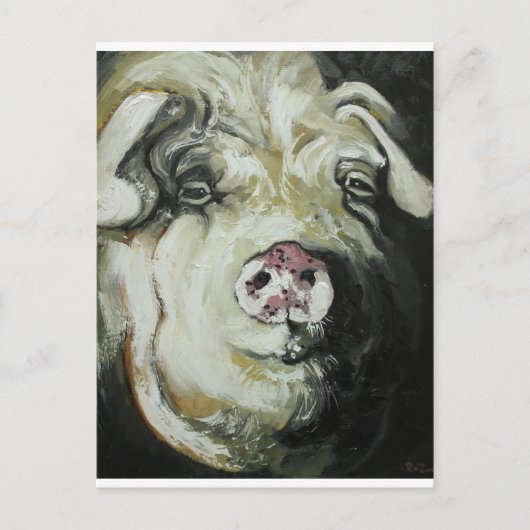 Schwein #7 postkarte (Vorderseite)