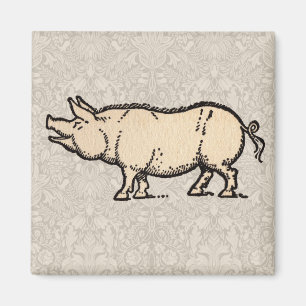 Schwein Antikes Schweine Niedliche Vintage Illustr Magnet