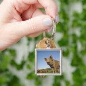 Schwein auf einem Gebiet Schlüsselanhänger (Hand)