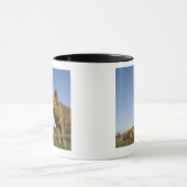 Schwein auf einem Gebiet Tasse (Zentrum)
