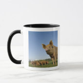 Schwein auf einem Gebiet Tasse (Links)