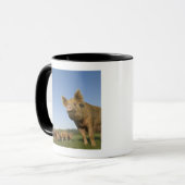 Schwein auf einem Gebiet Tasse (Vorderseite Links)