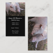 Schwein-Bauers-Geschäfts-Karte Visitenkarte (Vorne/Hinten)