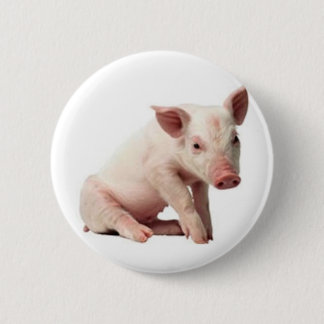 Schwein Button