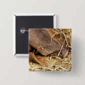 SCHWEIN BUTTON (Vorne & Hinten)