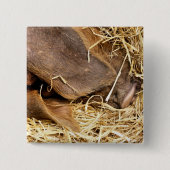 SCHWEIN BUTTON (Vorderseite)