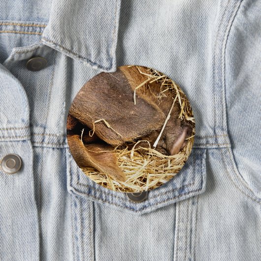 SCHWEIN BUTTON (Beispiel)