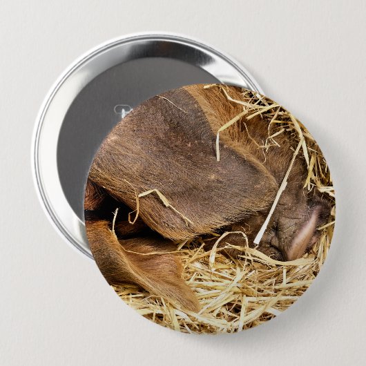 SCHWEIN BUTTON (Vorne & Hinten)