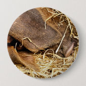 SCHWEIN BUTTON (Vorderseite)