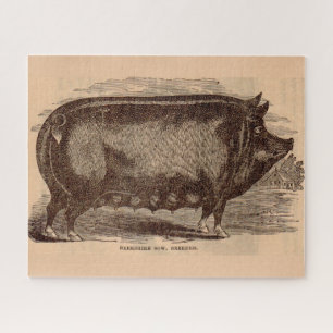 Schwein Druck Berkshire Sauen Nr. 1 aus dem 19. Ja Puzzle