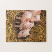 Schwein-Ferkel-Heu Puzzle (Horizontal)