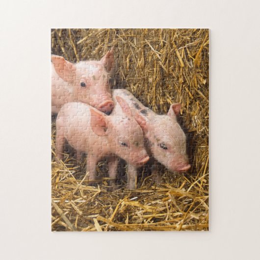 Schwein-Ferkel-Heu Puzzle (Vertikal)