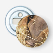 SCHWEIN FLASCHENÖFFNER (Vorderseite)