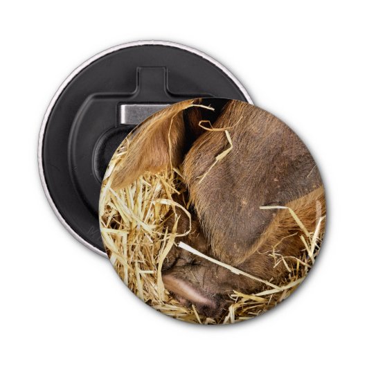 SCHWEIN FLASCHENÖFFNER (Vorderseite)