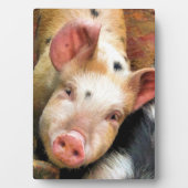 SCHWEIN FOTOPLATTE (Vorderseite)
