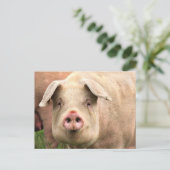 Schwein gehabt postkarte (Stehend Vorderseite)