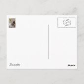 Schwein-Geist-Spuk Hauspostkarte Postkarte (Rückseite)