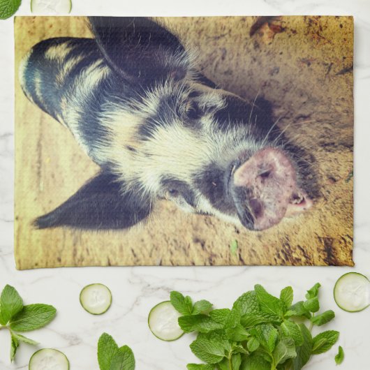 Schwein Geschirrtuch (Gefaltet)