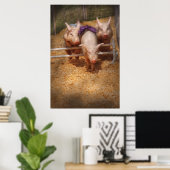 Schwein - Hindernisse überwinden Poster (Heimbüro)
