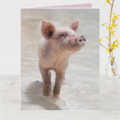 SCHWEIN HOG LIEBES KARTE KARTEN (Gelbe Blume)