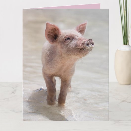 SCHWEIN HOG LIEBES KARTE KARTEN (Vorderseite)