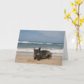 Schwein im Paradies Karte (Gelbe Blume)