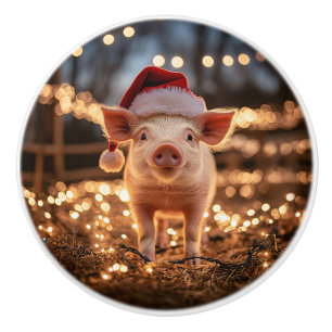 Schwein in einer Weihnachtsmannmütze Keramikknauf