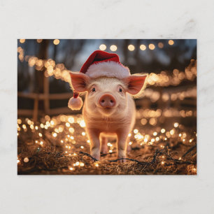 Schwein in einer Weihnachtsmannmütze Postkarte