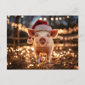 Schwein in einer Weihnachtsmannmütze Postkarte