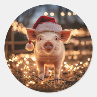Schwein in einer Weihnachtsmannmütze Runder Aufkleber