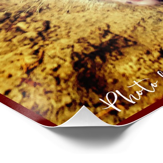 Schwein - Landleben Poster (Ecke)