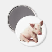 Schwein Magnet (Vorderseite/Rückseite)