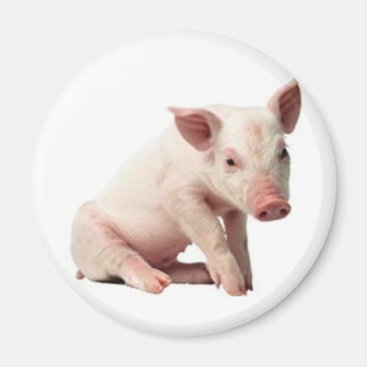 Schwein Magnet (Vorne)