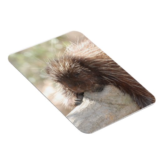 Schwein Magnet (Rechte Seite)