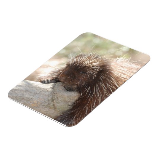 Schwein Magnet (Linke Seite)