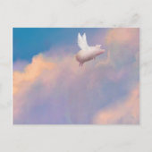 Schwein mit Flügelpfropf Postkarte (Vorderseite)