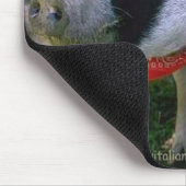 Schwein mit Sonnenbrille und Bandana Mousepad (Ecke)
